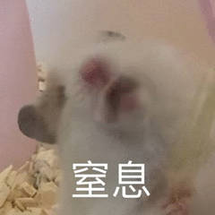 為什么不建議家境普通的學生讀商科？